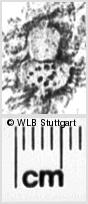 Image Description for https://www.wlb-stuttgart.de/kyriss/images/s0252310.jpg
