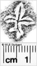 Image Description for https://www.wlb-stuttgart.de/kyriss/images/s0254535.jpg