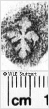 Image Description for https://www.wlb-stuttgart.de/kyriss/images/s0264007.jpg
