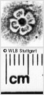 Image Description for https://www.wlb-stuttgart.de/kyriss/images/s0266804.jpg