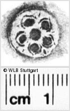 Image Description for https://www.wlb-stuttgart.de/kyriss/images/s0267407.jpg