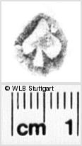 Image Description for https://www.wlb-stuttgart.de/kyriss/images/s0268107.jpg