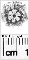 Image Description for https://www.wlb-stuttgart.de/kyriss/images/s0268209.jpg