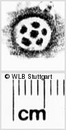 Image Description for https://www.wlb-stuttgart.de/kyriss/images/s0270219.jpg