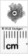 Image Description for https://www.wlb-stuttgart.de/kyriss/images/s0271214.jpg