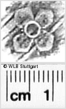 Image Description for https://www.wlb-stuttgart.de/kyriss/images/s0271414.jpg