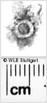 Image Description for https://www.wlb-stuttgart.de/kyriss/images/s0271613.jpg
