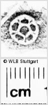 Image Description for https://www.wlb-stuttgart.de/kyriss/images/s0271717.jpg
