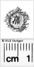 Image Description for https://www.wlb-stuttgart.de/kyriss/images/s0272107.jpg