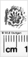 Image Description for https://www.wlb-stuttgart.de/kyriss/images/s0272113.jpg