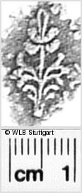 Image Description for https://www.wlb-stuttgart.de/kyriss/images/s0272211.jpg