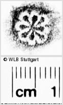 Image Description for https://www.wlb-stuttgart.de/kyriss/images/s0272510.jpg
