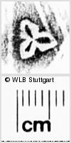 Image Description for https://www.wlb-stuttgart.de/kyriss/images/s0272512.jpg