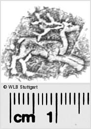 Image Description for https://www.wlb-stuttgart.de/kyriss/images/s0280615.jpg