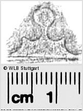 Image Description for https://www.wlb-stuttgart.de/kyriss/images/s0281019.jpg