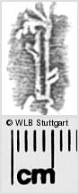 Image Description for https://www.wlb-stuttgart.de/kyriss/images/s0281710.jpg