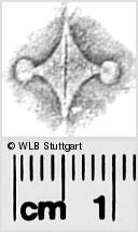 Image Description for https://www.wlb-stuttgart.de/kyriss/images/s0281946.jpg
