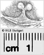 Image Description for https://www.wlb-stuttgart.de/kyriss/images/s0281947.jpg
