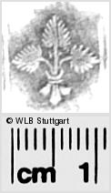 Image Description for https://www.wlb-stuttgart.de/kyriss/images/s0282158.jpg