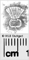 Image Description for https://www.wlb-stuttgart.de/kyriss/images/s0282411.jpg