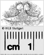Image Description for https://www.wlb-stuttgart.de/kyriss/images/s0283615.jpg