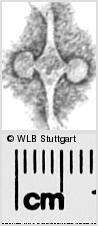Image Description for https://www.wlb-stuttgart.de/kyriss/images/s0283621.jpg