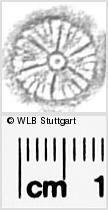 Image Description for https://www.wlb-stuttgart.de/kyriss/images/s0283804.jpg