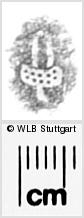 Image Description for https://www.wlb-stuttgart.de/kyriss/images/s0283809.jpg