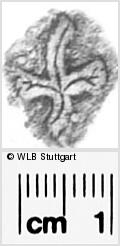 Image Description for https://www.wlb-stuttgart.de/kyriss/images/s0283818.jpg