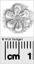 Image Description for https://www.wlb-stuttgart.de/kyriss/images/s0284325.jpg
