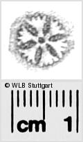 Image Description for https://www.wlb-stuttgart.de/kyriss/images/s0284337.jpg