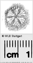 Image Description for https://www.wlb-stuttgart.de/kyriss/images/s0284517.jpg