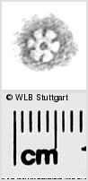 Image Description for https://www.wlb-stuttgart.de/kyriss/images/s0284518.jpg