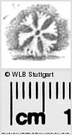Image Description for https://www.wlb-stuttgart.de/kyriss/images/s0284715.jpg