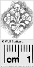 Image Description for https://www.wlb-stuttgart.de/kyriss/images/s0284838.jpg