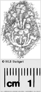 Image Description for https://www.wlb-stuttgart.de/kyriss/images/s0285605.jpg