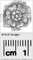 Image Description for https://www.wlb-stuttgart.de/kyriss/images/s0285606.jpg