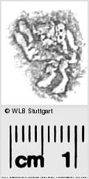 Image Description for https://www.wlb-stuttgart.de/kyriss/images/s0285611.jpg