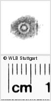 Image Description for https://www.wlb-stuttgart.de/kyriss/images/s0286217.jpg