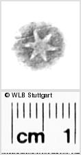 Image Description for https://www.wlb-stuttgart.de/kyriss/images/s0286220.jpg