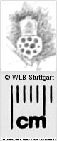 Image Description for https://www.wlb-stuttgart.de/kyriss/images/s0286405.jpg
