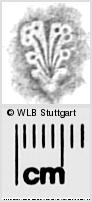 Image Description for https://www.wlb-stuttgart.de/kyriss/images/s0286419.jpg