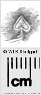 Image Description for https://www.wlb-stuttgart.de/kyriss/images/s0286529.jpg