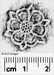 Image Description for https://www.wlb-stuttgart.de/kyriss/images/s0286603.jpg