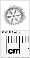 Image Description for https://www.wlb-stuttgart.de/kyriss/images/s0287710.jpg