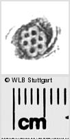 Image Description for https://www.wlb-stuttgart.de/kyriss/images/s0288208.jpg
