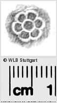 Image Description for https://www.wlb-stuttgart.de/kyriss/images/s0288222.jpg