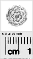 Image Description for https://www.wlb-stuttgart.de/kyriss/images/s0288336.jpg