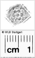 Image Description for https://www.wlb-stuttgart.de/kyriss/images/s0288414.jpg