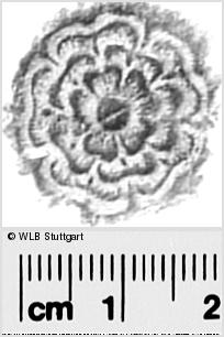 Image Description for https://www.wlb-stuttgart.de/kyriss/images/s0291605.jpg
